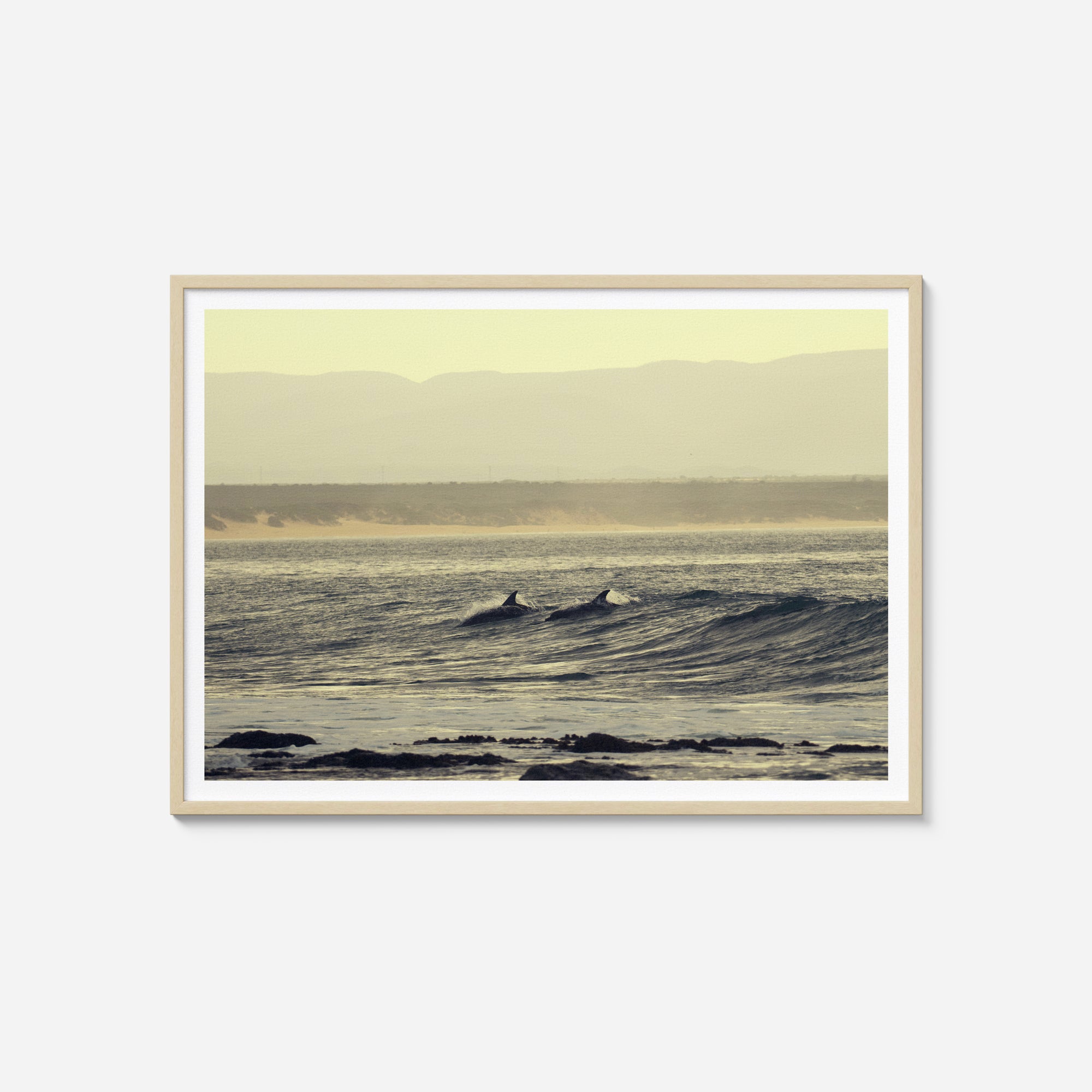 Twin Fin